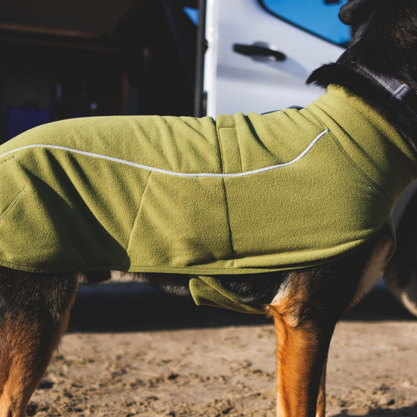Dog wearing the Climate Changer™ Fleece Vest.