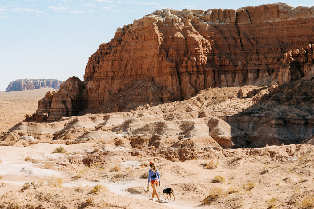 Kaylin and Willow walking in the desert.