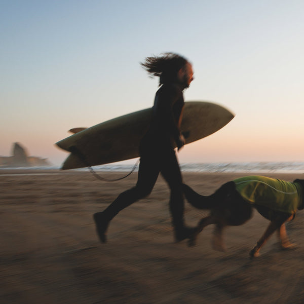 A woman balances on the rocks with her dog
