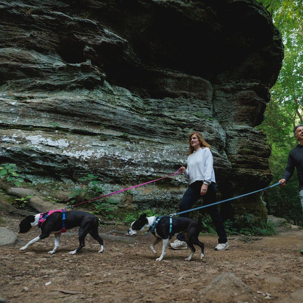 A small dog rides on the back of his human's back