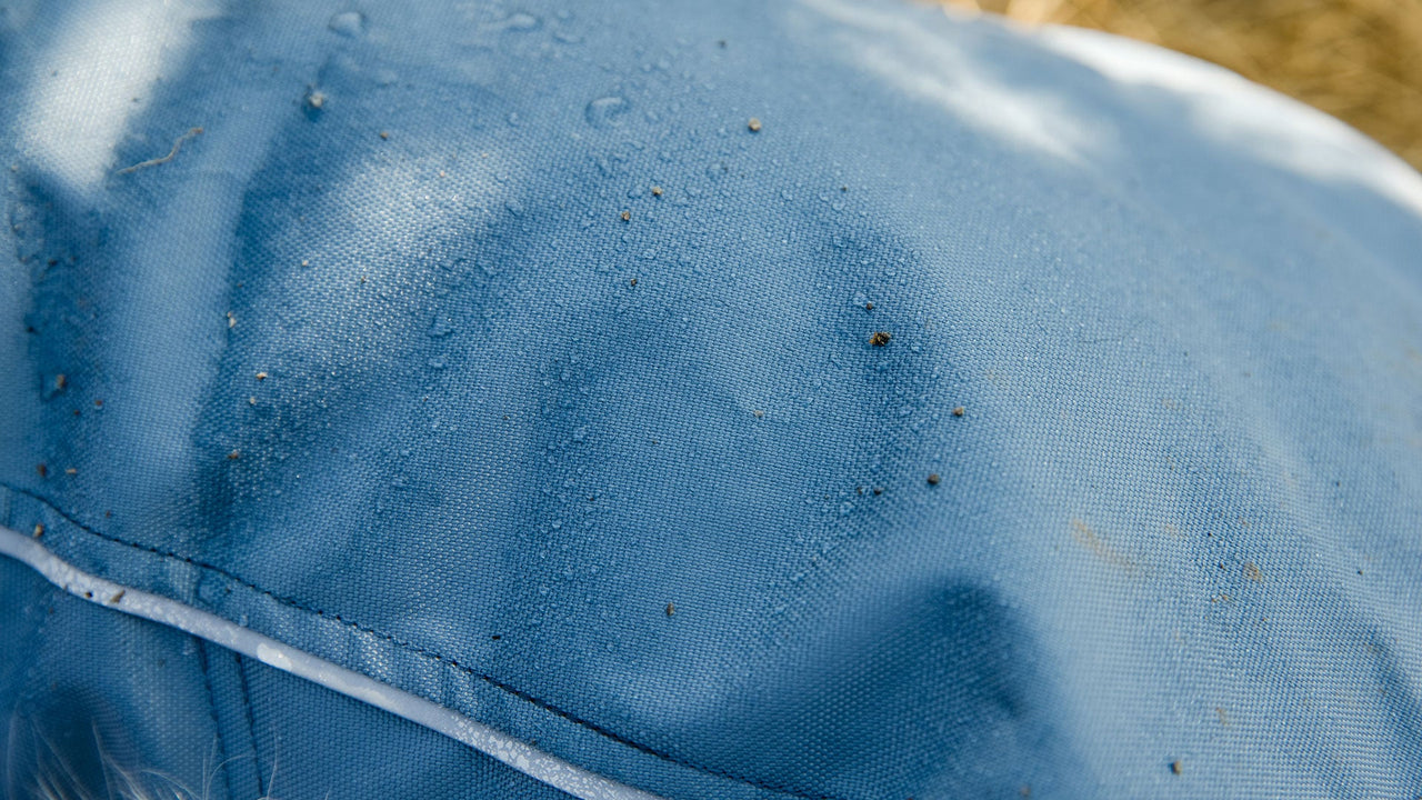 DURABLE SHELL
