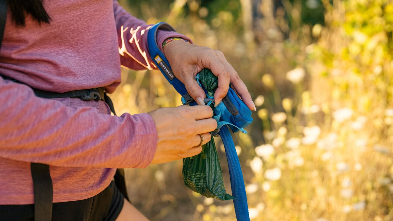 CONVENIENT CARRY