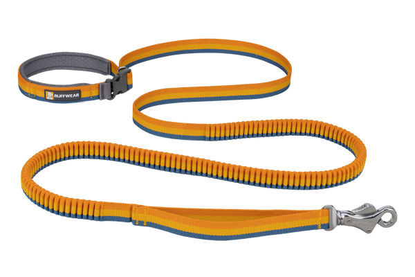 Roamer™ Bungee Dog Leash