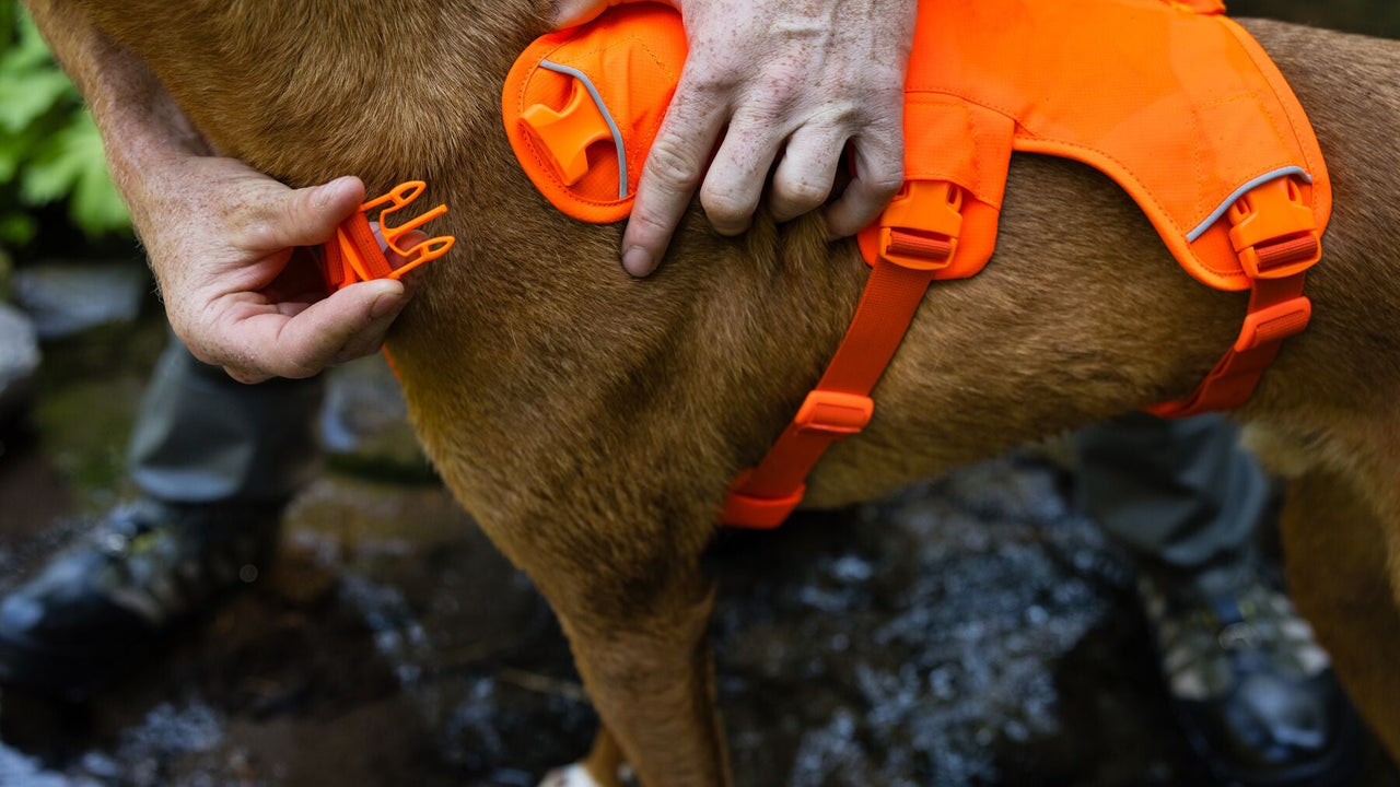 NECK BUCKLE