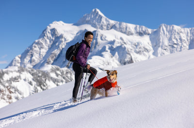 A woman snowshoes uphill with her dog beside her.