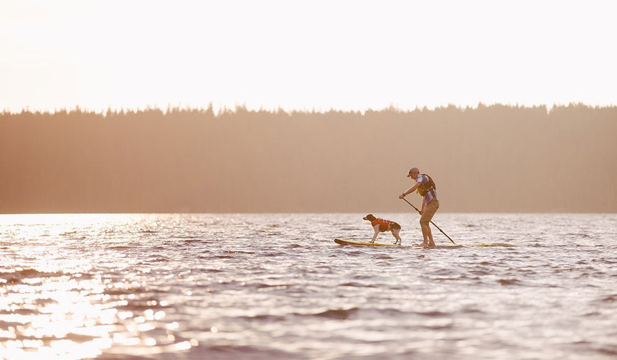 5 Things Your Dog Wants To Do With You This Summer Ruffwear