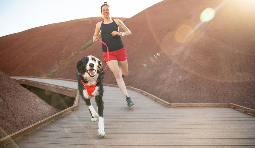 The Craftsmanship Behind the Front Range Harness Ruffwear