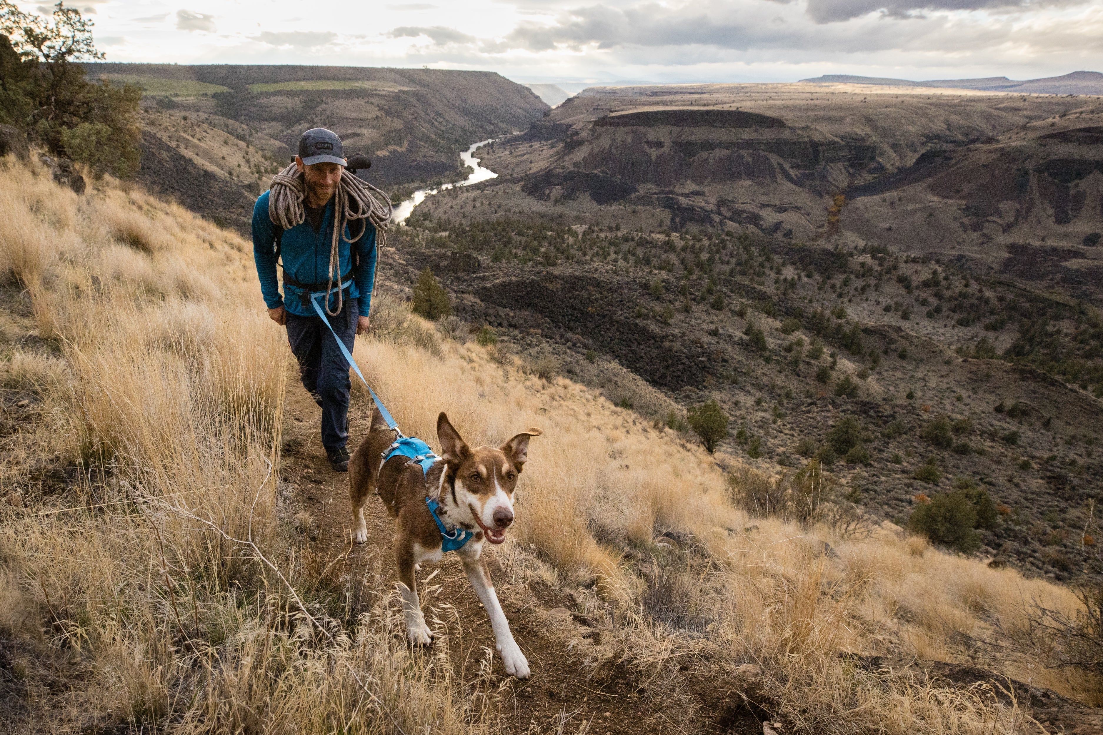 Stories Ruffwear