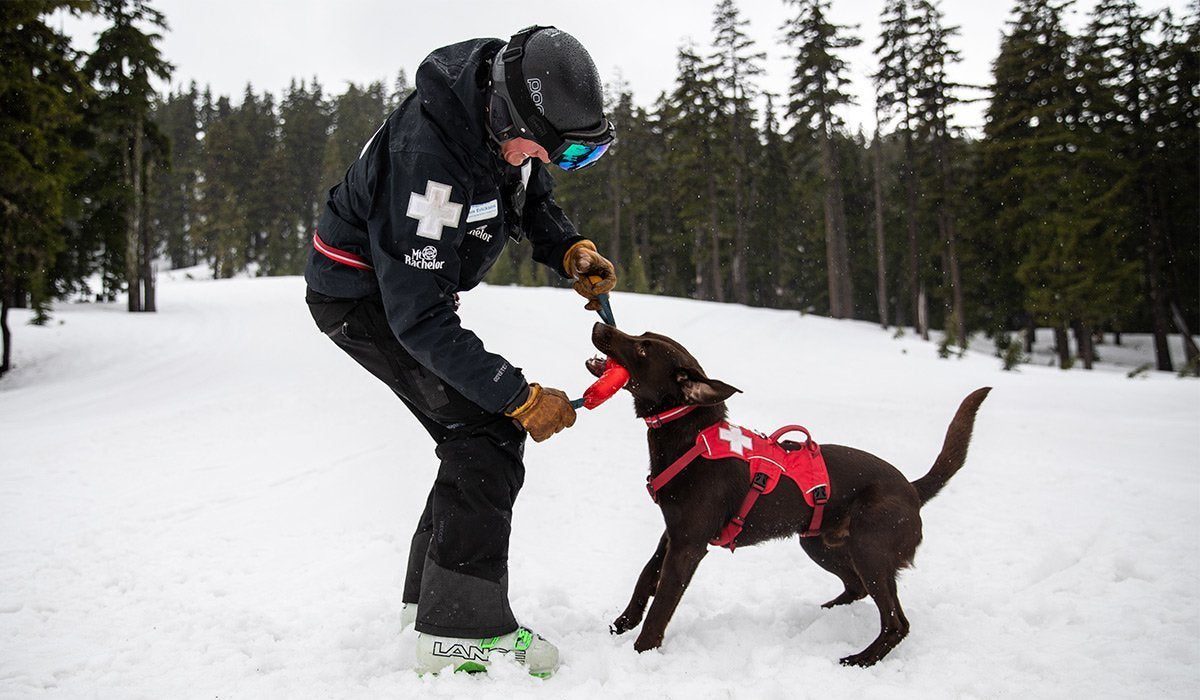 Stories Ruffwear