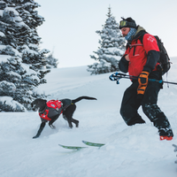 An avalanche rescue dog and his handler