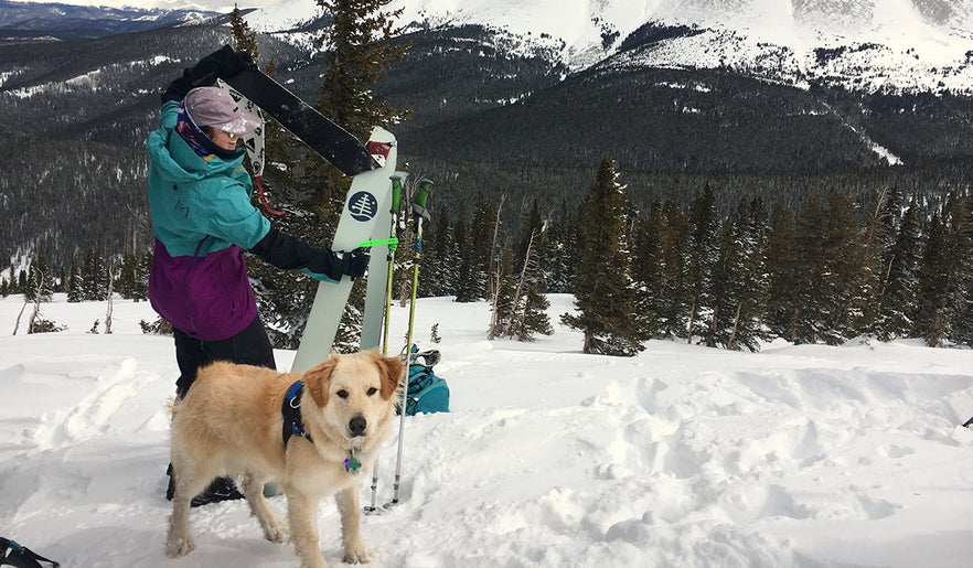 4 Things to Consider Before Backcountry Skiing with Your Dog