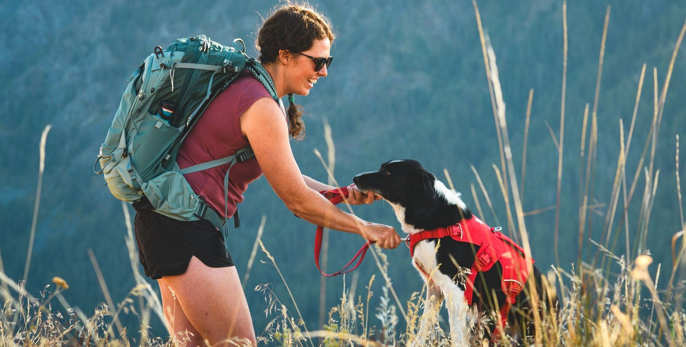 How to Backpack with Your Dog