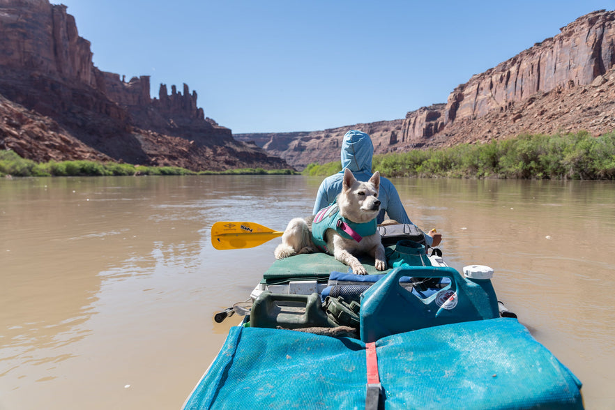 How To Take a Multi-Day Rafting Trip With Your Dog | Ruffwear UK