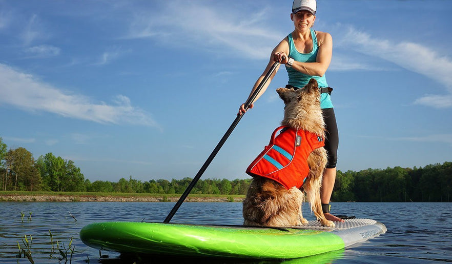How To SUP With Your PUP: Getting Your PUP Back On The SUP | Ruffwear UK