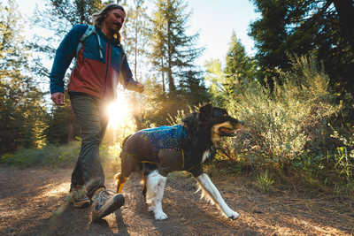 Dog in the Climate Changer™ Coverall on a hike with his human.