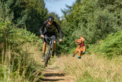 A man mountain bikes while his dog runs beside him. 