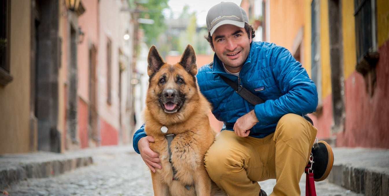 A man and his dog sit and pose on an alley road in a city. 