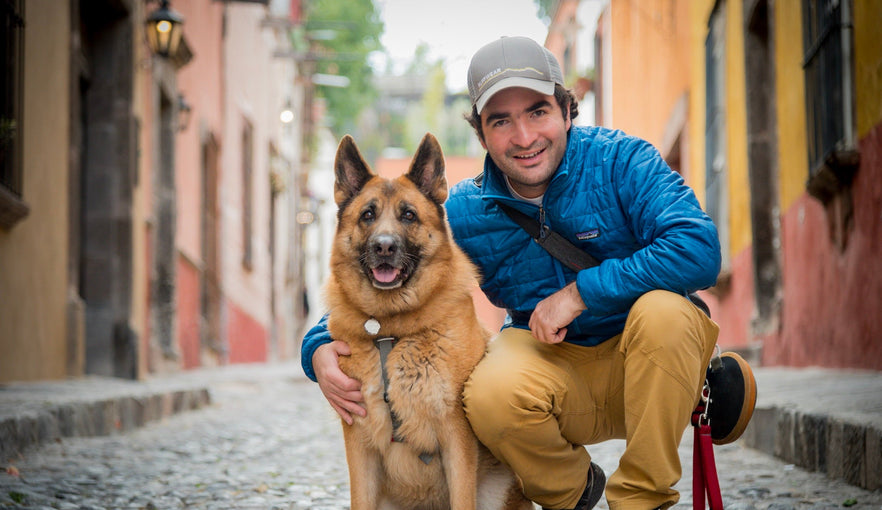 Ruffwear in Mexico Meet Bernardo His Four Shop Dogs Ruffwear