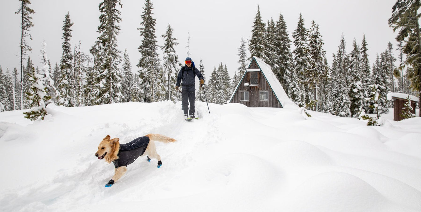 Dog in polar trex boots runs through snow with human skiing.