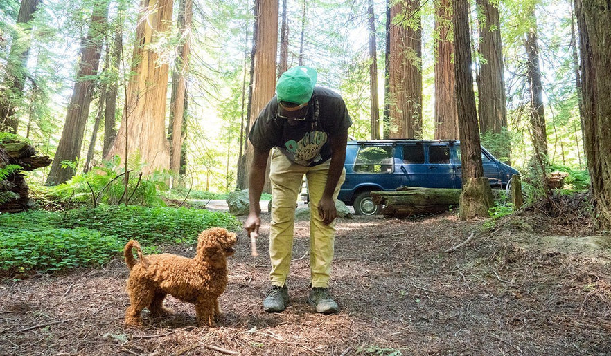 Van Life Our Golden Doodle Cheat Code Ruffwear