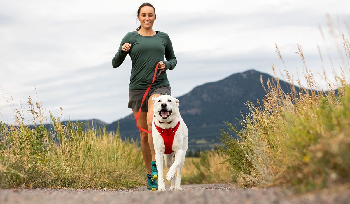 Stories Ruffwear