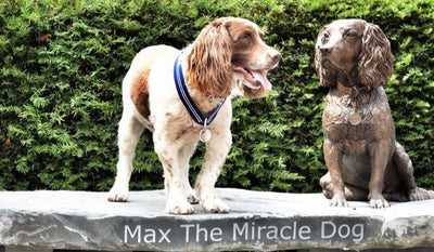 Max the Miracle Dog with a bronze statue of himself