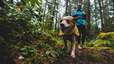 Stories | Explored: A Ruffwear Blog | Ruffwear UK