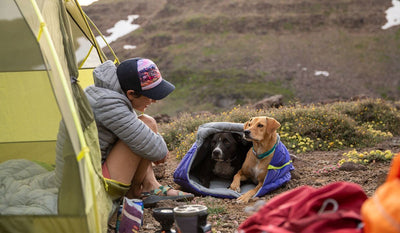 Two dogs in highlands dog sleeping bag next to their human sitting in the tent.