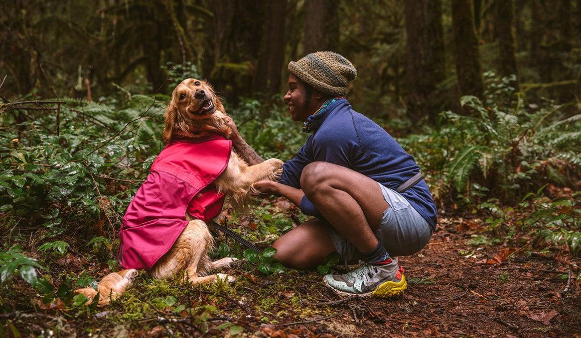 A dog smiles and gives its paw to its owner. 