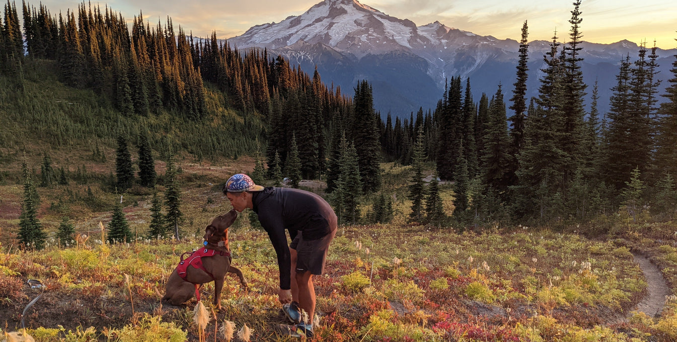 A man kisses his dog on the snout while they are in nature backpacking. 