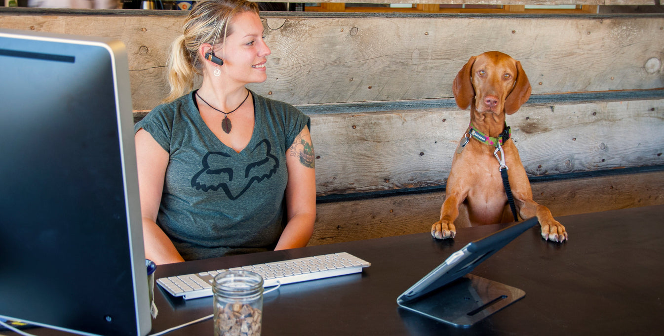 A woman and her dog sit at a desk in the Ruffwear building. 