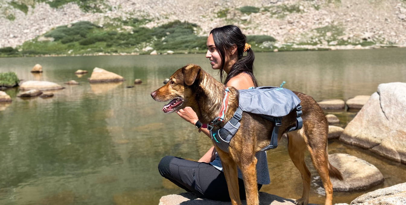 A woman sits with her dog by a mountain lake. 
