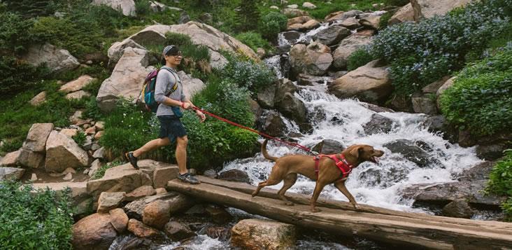 Turkey in front range dog harness, leash and collar set walks in front of Nathan by a waterfall.