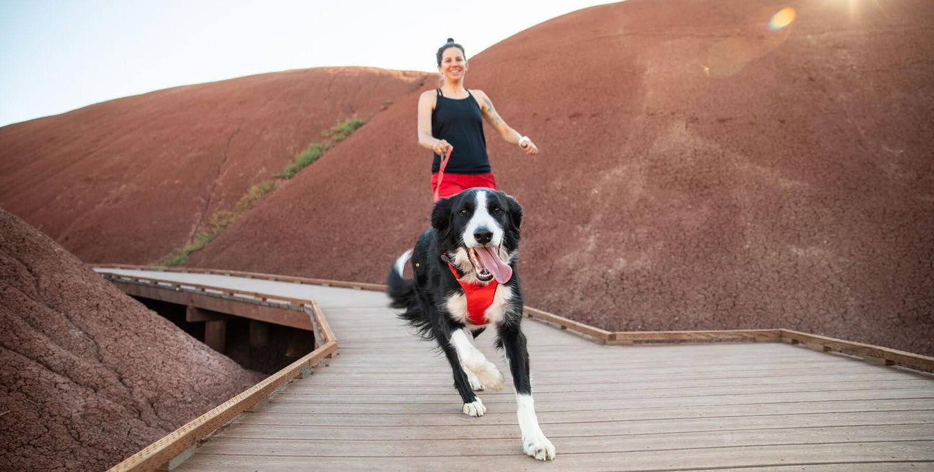 Woman and dog run together on a boardwalk in the desert