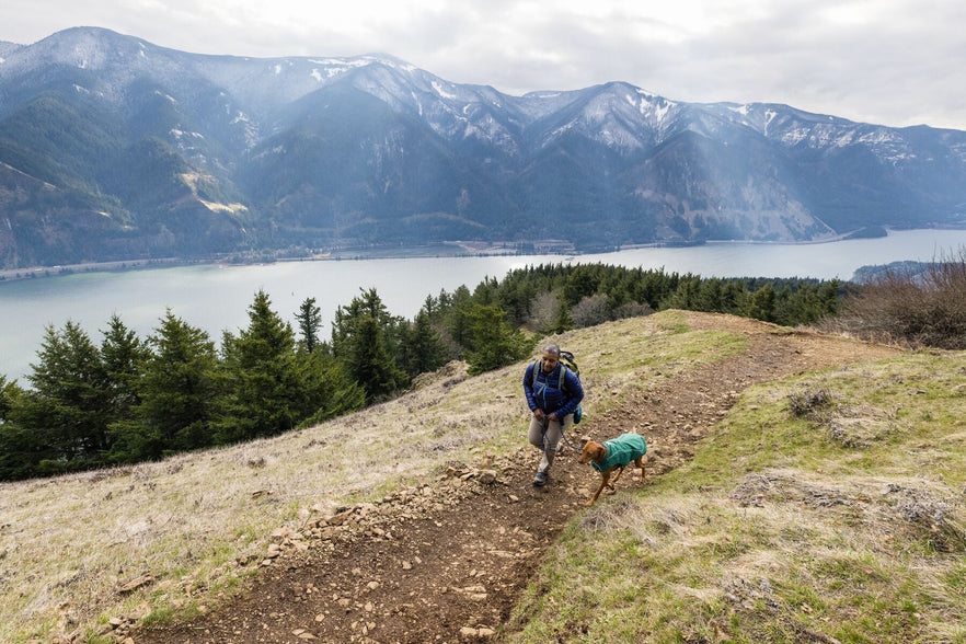 The Size is Right How to Measure for Your Dog s Gear Ruffwear