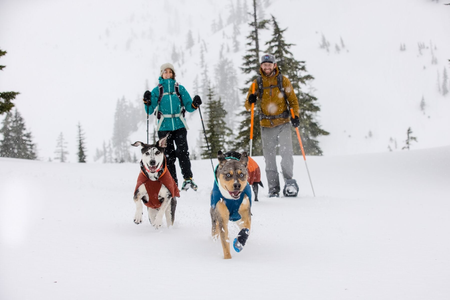 Stories Ruffwear