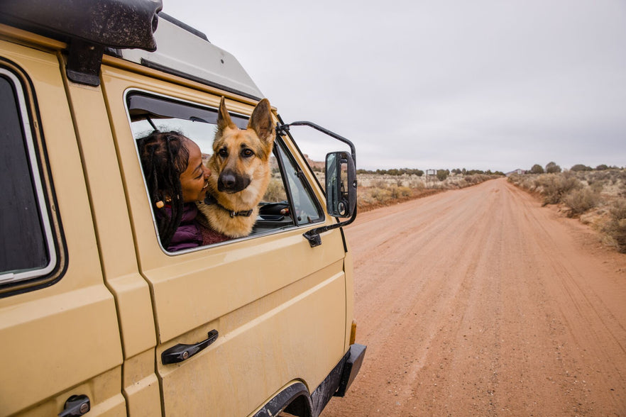 The Scoop Road Tripping with the Dogs of Ruffwear Ruffwear