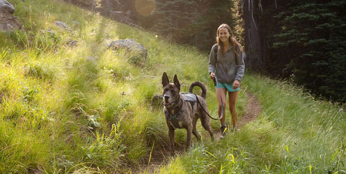 Woman hiking with dog