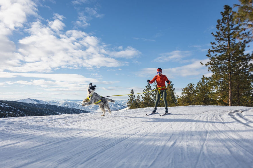 Ruffwear skijoring sales