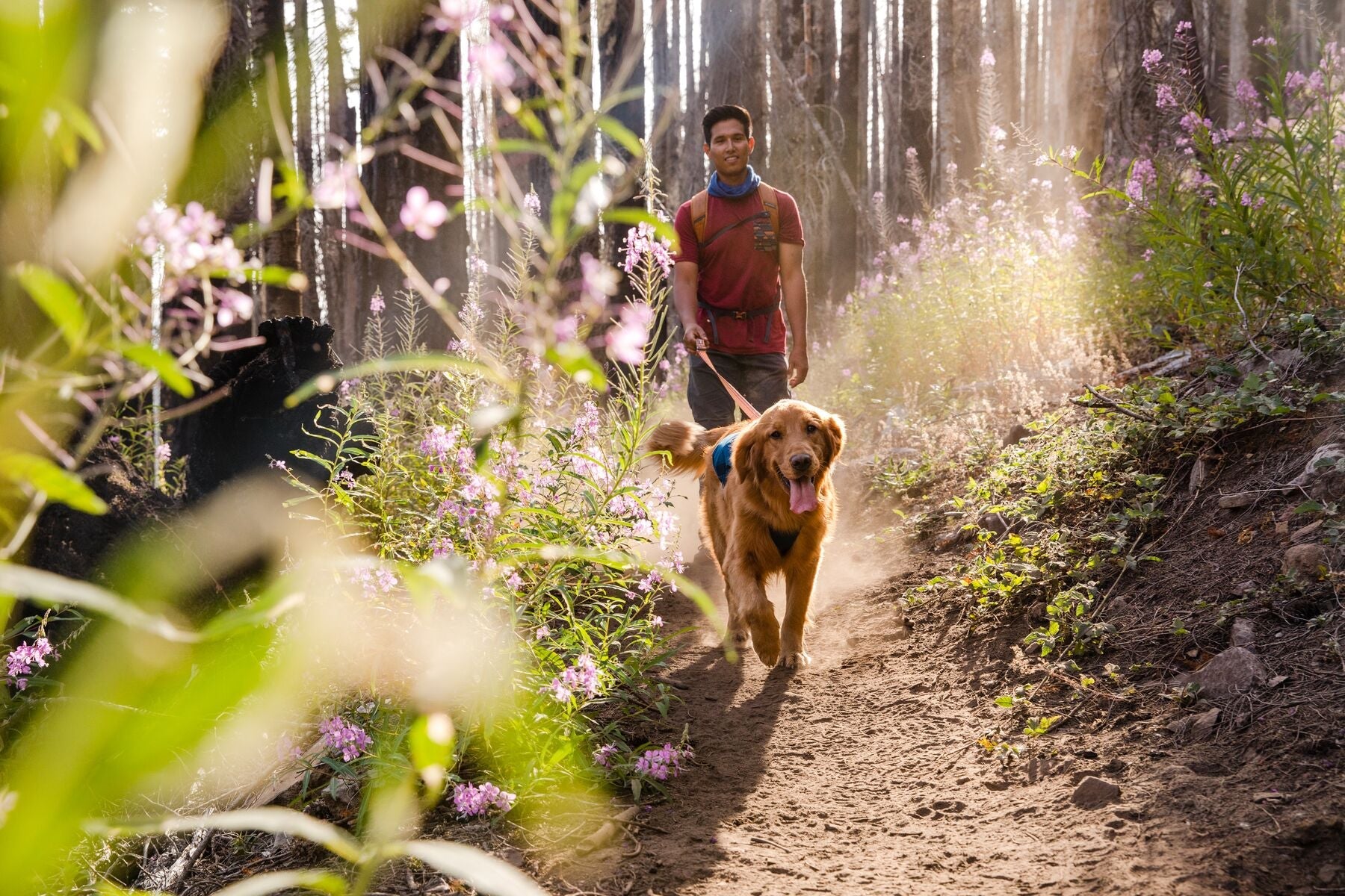 Stories Ruffwear