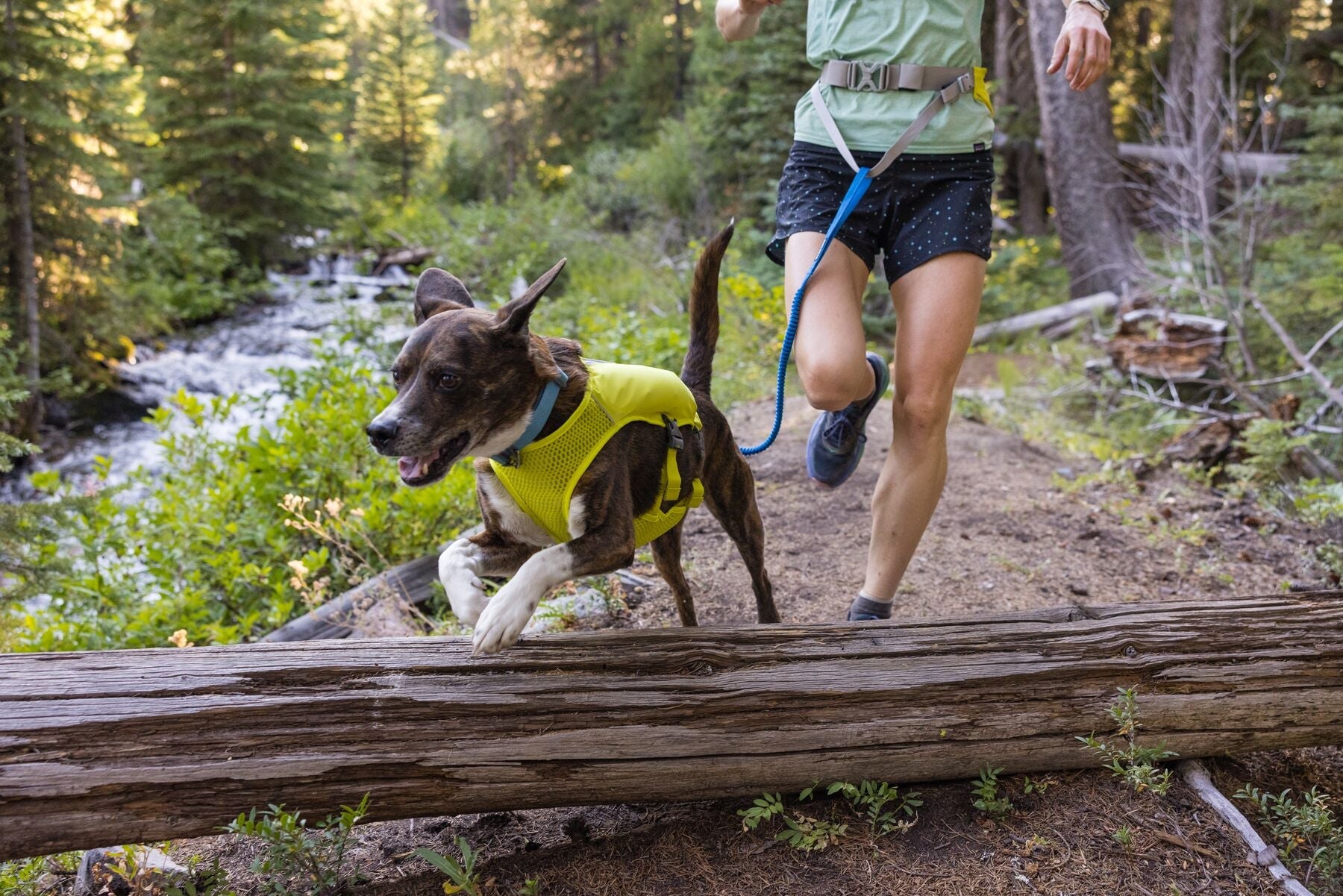 Ruffwear running harness 2025