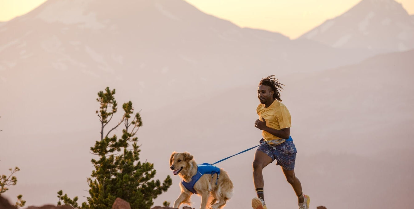 4-Week 5K Training Plan for Running with Your Dog