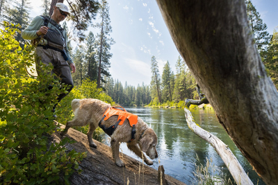 Man hiking with his dog wearing the Web Master™ Harness.