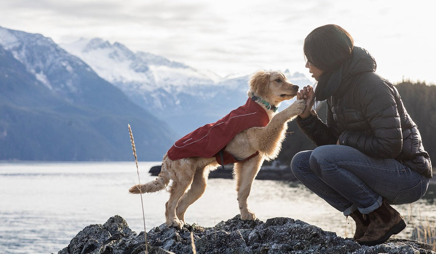 Meet the 2021 Ambassador Pack Ruffwear