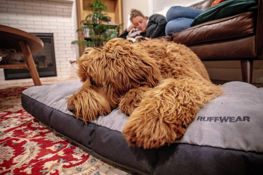 Ruffwear restcycle shop dog bed