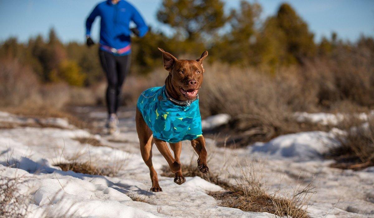 Stories Ruffwear