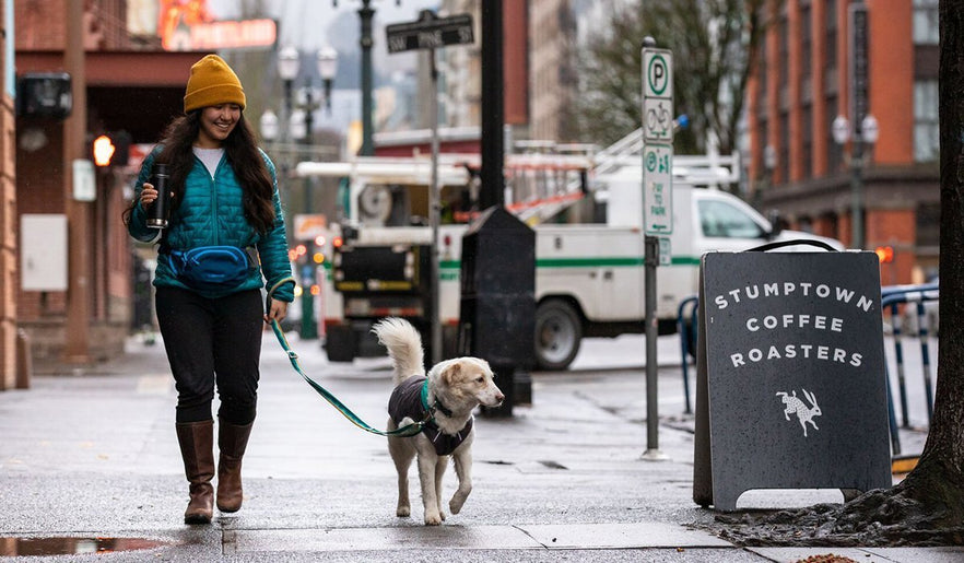 The Dog is in the Details Designing the Home Trail Hip Pack