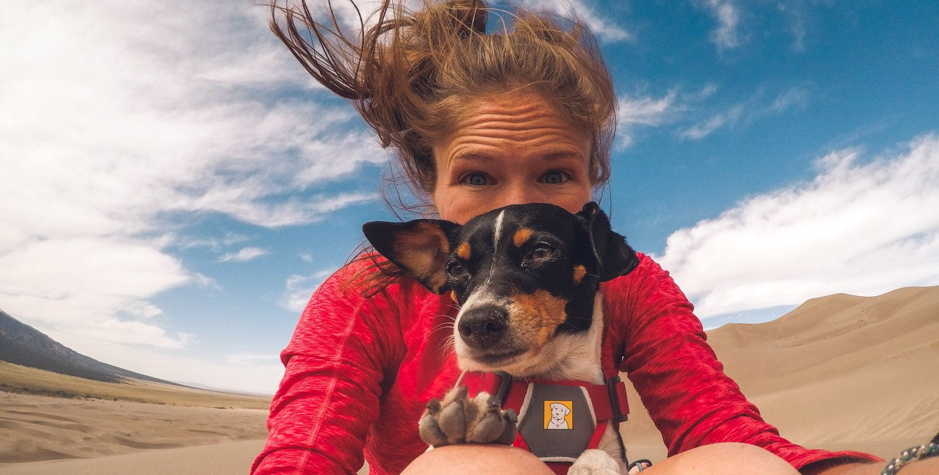 Woman taking a selfie with a small terrier dog in her lap