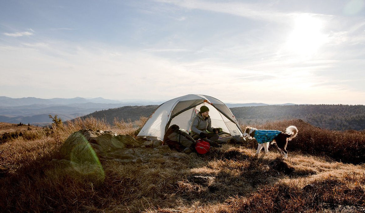 Dog in glacier climate changer fleece runs around outside tent up in the hills.