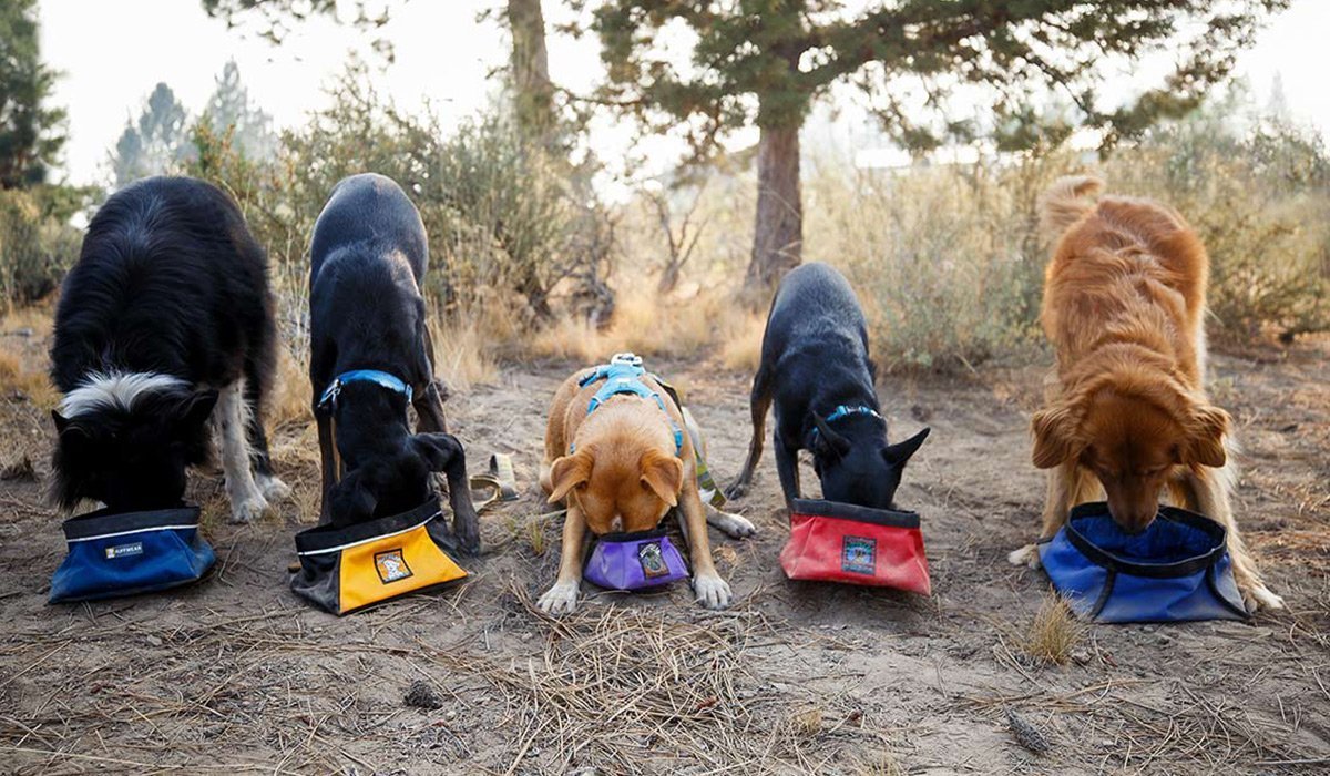 Stories Ruffwear